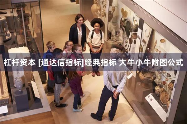 杠杆资本 [通达信指标]经典指标 大牛小牛附图公式