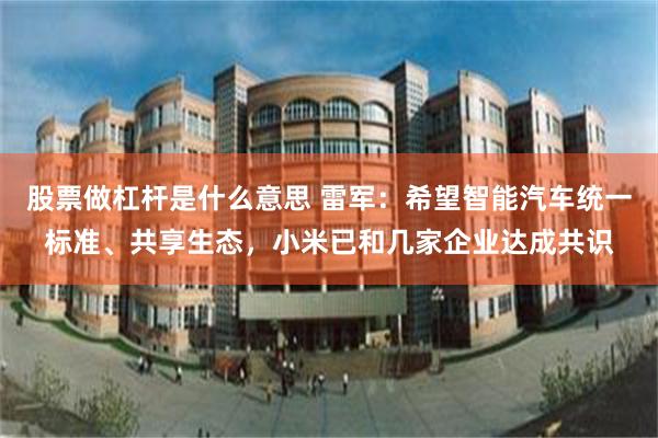 股票做杠杆是什么意思 雷军：希望智能汽车统一标准、共享生态，小米已和几家企业达成共识