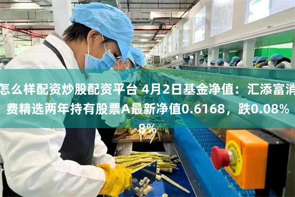 怎么样配资炒股配资平台 4月2日基金净值：汇添富消费精选两年持有股票A最新净值0.6168，跌0.08%