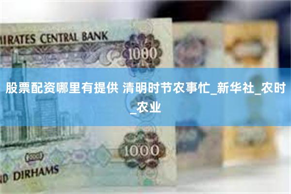 股票配资哪里有提供 清明时节农事忙_新华社_农时_农业