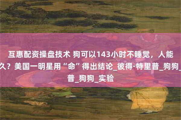 互惠配资操盘技术 狗可以143小时不睡觉，人能撑多久？美国一明星用“命”得出结论_彼得·特里普_狗狗_实验