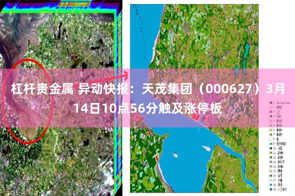 杠杆贵金属 异动快报：天茂集团（000627）3月14日10点56分触及涨停板
