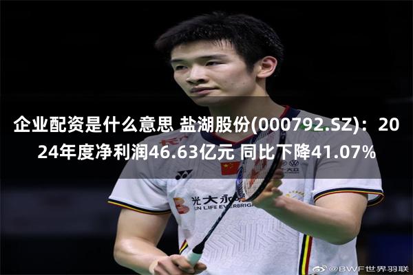 企业配资是什么意思 盐湖股份(000792.SZ)：2024年度净利润46.63亿元 同比下降41.07%