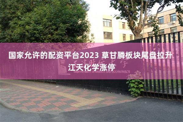国家允许的配资平台2023 草甘膦板块尾盘拉升 江天化学涨停