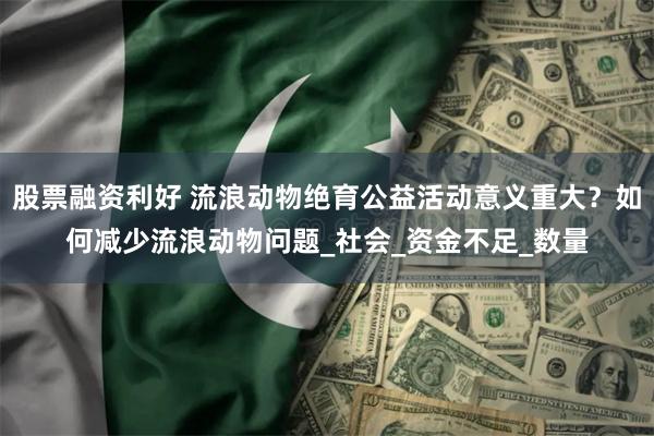 股票融资利好 流浪动物绝育公益活动意义重大？如何减少流浪动物问题_社会_资金不足_数量