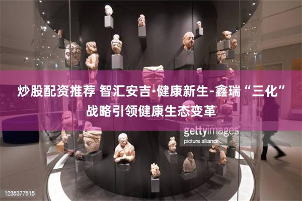 炒股配资推荐 智汇安吉·健康新生-鑫瑞“三化”战略引领健康生态变革