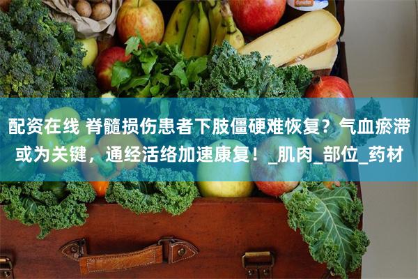 配资在线 脊髓损伤患者下肢僵硬难恢复？气血瘀滞或为关键，通经活络加速康复！_肌肉_部位_药材
