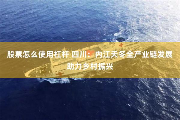 股票怎么使用杠杆 四川：内江天冬全产业链发展助力乡村振兴