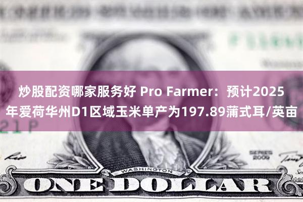 炒股配资哪家服务好 Pro Farmer：预计2025年爱荷华州D1区域玉米单产为197.89蒲式耳/英亩