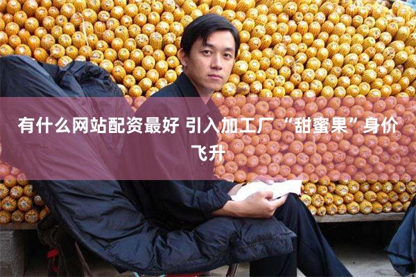 有什么网站配资最好 引入加工厂 “甜蜜果”身价飞升