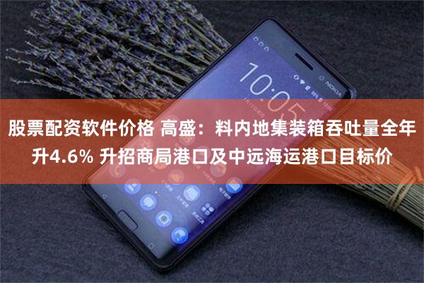 股票配资软件价格 高盛：料内地集装箱吞吐量全年升4.6% 升招商局港口及中远海运港口目标价
